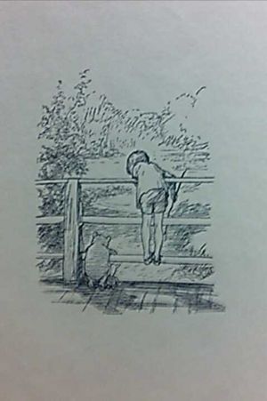 The House At Pooh Corner image number 1